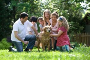 family and friends wash a dog outside, dog looks unhappy and may attack